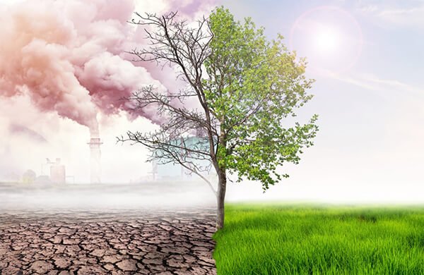 دور تغير المناخ في التنمية المستدامة